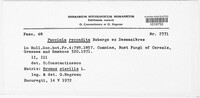 Puccinia recondita image
